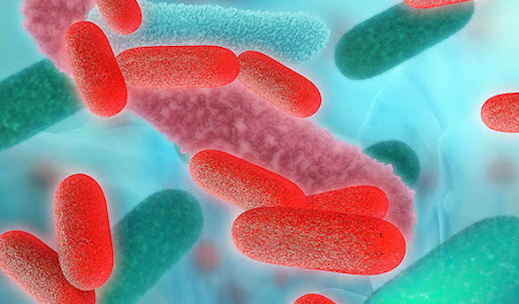 Tips To Effectively Control Legionella