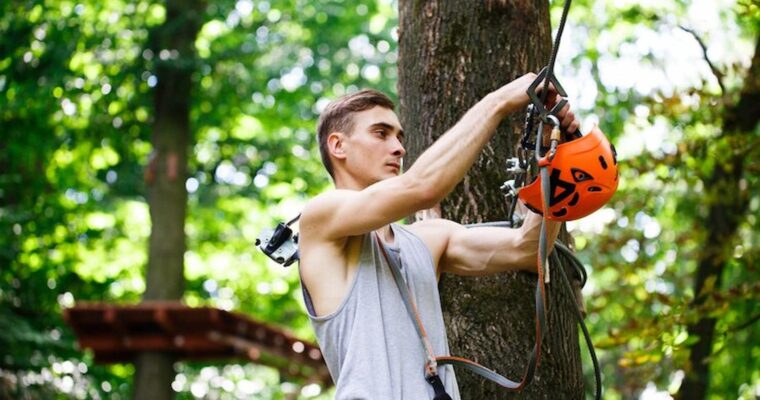 Professional Care For Your Trees: Why You Should Choose Tree Surgeon Service