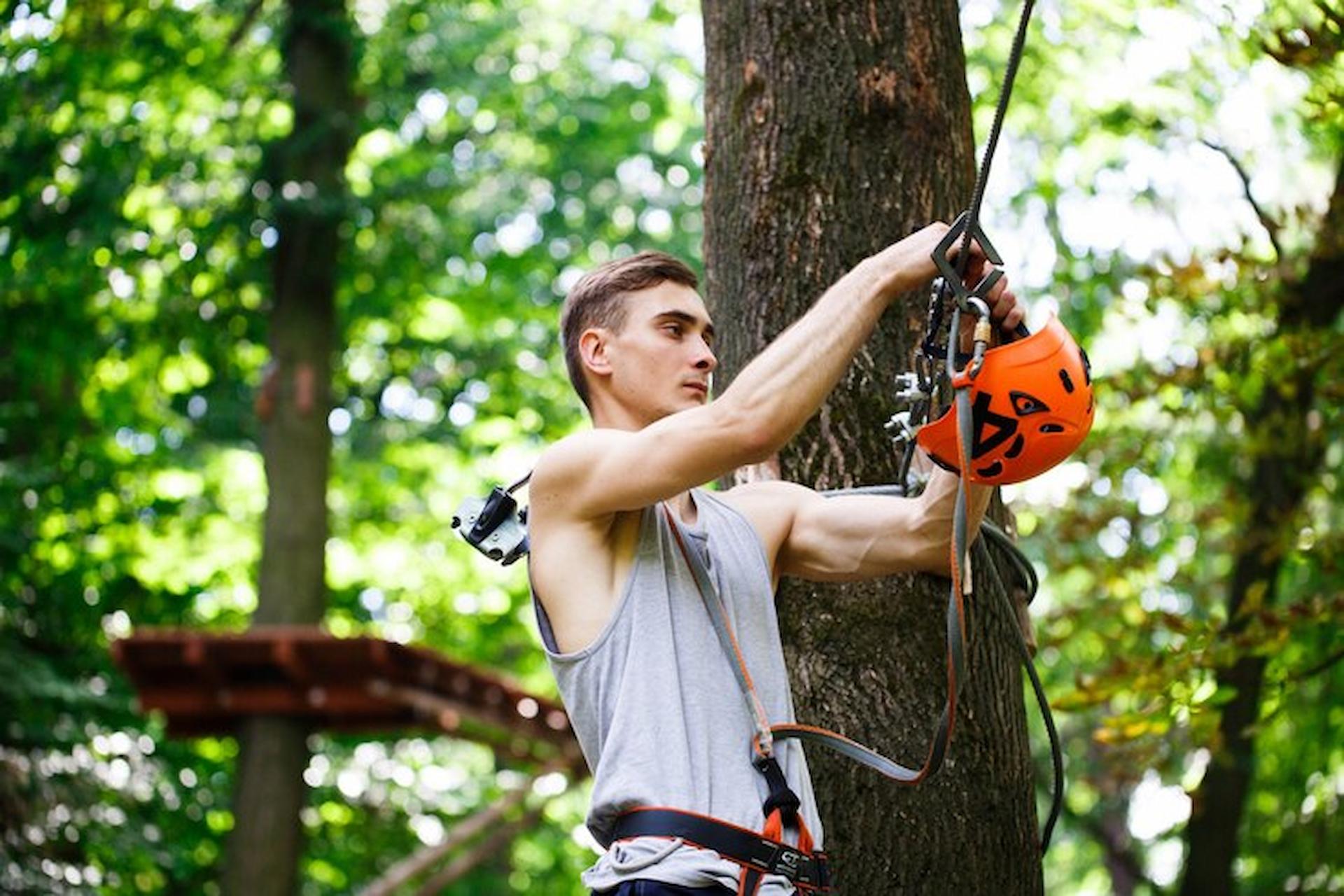 Professional Care For Your Trees: Why You Should Choose Tree Surgeon Service